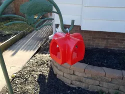 Hanging Bird Feeder