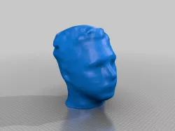 Nick
