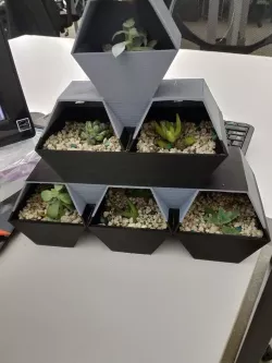 succulent pot
