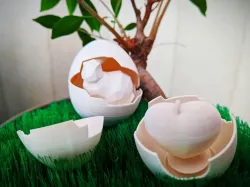 Surprising Egg (Prints Inside)