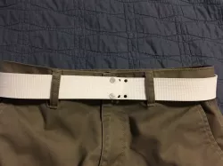Timing Belt Belt