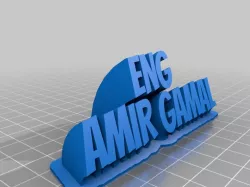 amir gamal