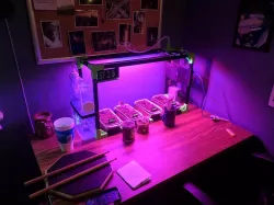 CNC Plant Growing Machine Science Fair Project