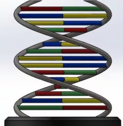 DNA Double Helix