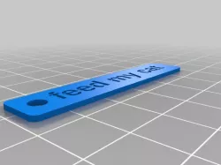 feed my cat Keychain