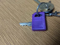Gator Key Cover/Saver