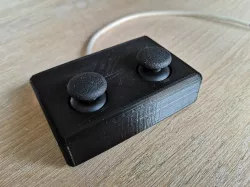 Joystick Case