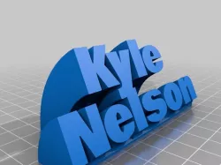 Kyle Nelson