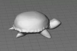 Ugly Turtle