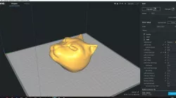A Cats Head