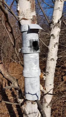 Chickadee Nest Box