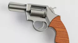 colt detective special