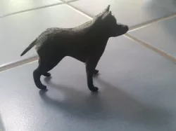 Dog model