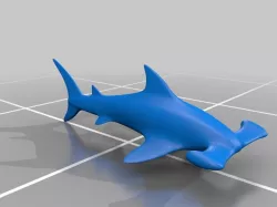 Hammerhead shark