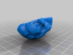 Human Brain Scanned with Structure scanner