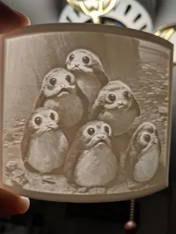Porgs