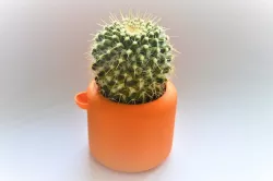 Root Watering Plant Pot