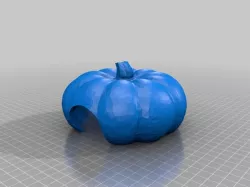 Snake Hide Pumpkin