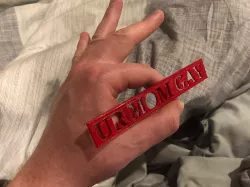 UR MOM GAY Plaque