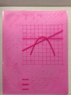 Braille graph