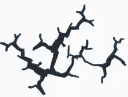  crack wall