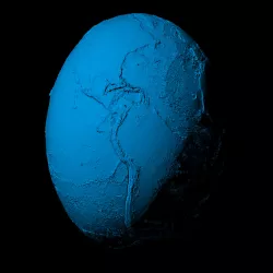 Earth with exaggerated topography scaled one in sixty million