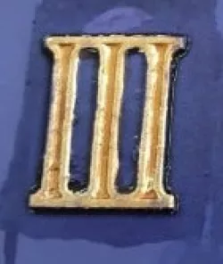 Emperors children III 3rd legion symbol.
