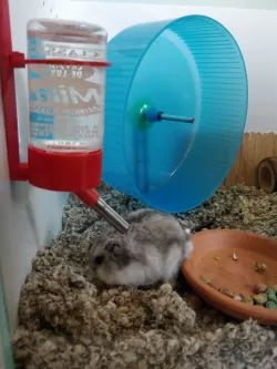 Ikea billy Pet waterbottle holder