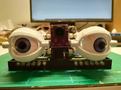 Motion Follow Animatronics Eyes