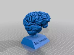 My Brain!