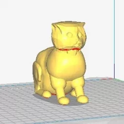 Scottish Fold Cat