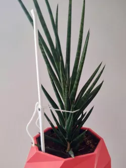 Stackable plant support stick
