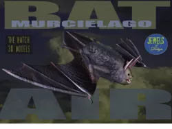 3D Bat model 3D model