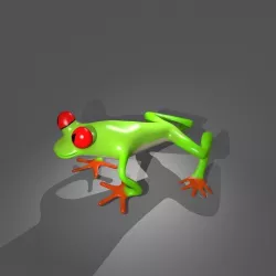 3d frog  Low-poly  3D model