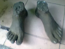 3D scan