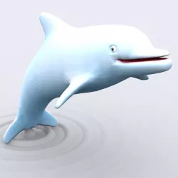3DRT - toonpets animals Dolphin  Low-poly  3D model