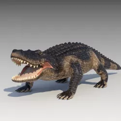 Alligator Animated Low-poly  3D model