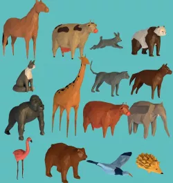 Animal Low-poly  3D model