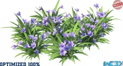 Babiana Blue Flower Optimized Low-poly  3D model