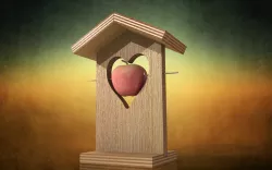 Bird Feeder