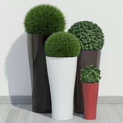 Bushes 3D model