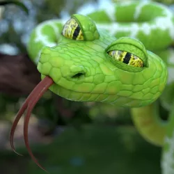 Cartoon snake 3D model