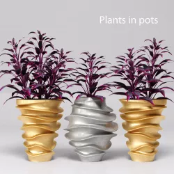 Collection of plants in pots 4 3D model