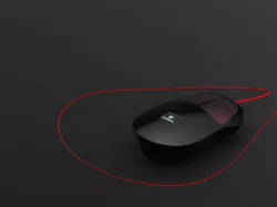 computer mouse
