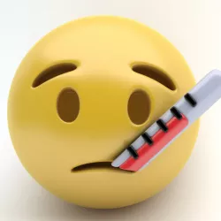 EMOJI thermometer Low-poly  3D model