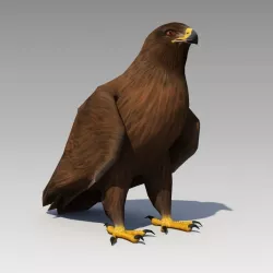 Golden Eagle Animated Low-poly  3D model