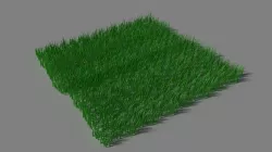 Grass 3D model