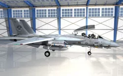 Grumman F-14 Tomcat  3D model