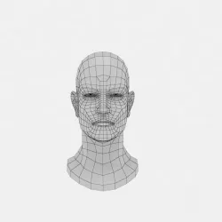 Head Base Mesh 3D model
