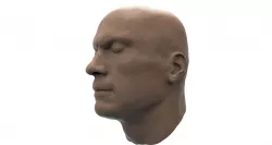 Head Model 3D model